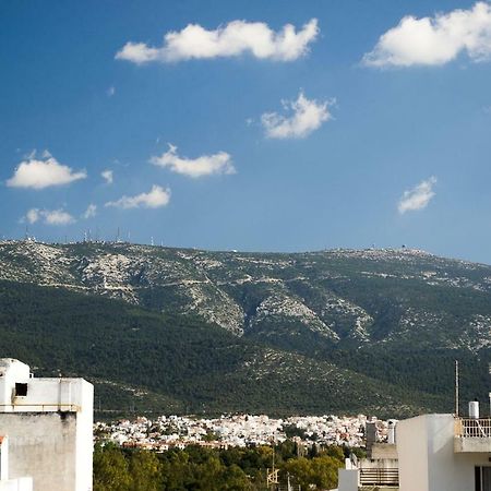 Inspiration Guestroom With Amazing Roof Garden Αθήνα Εξωτερικό φωτογραφία