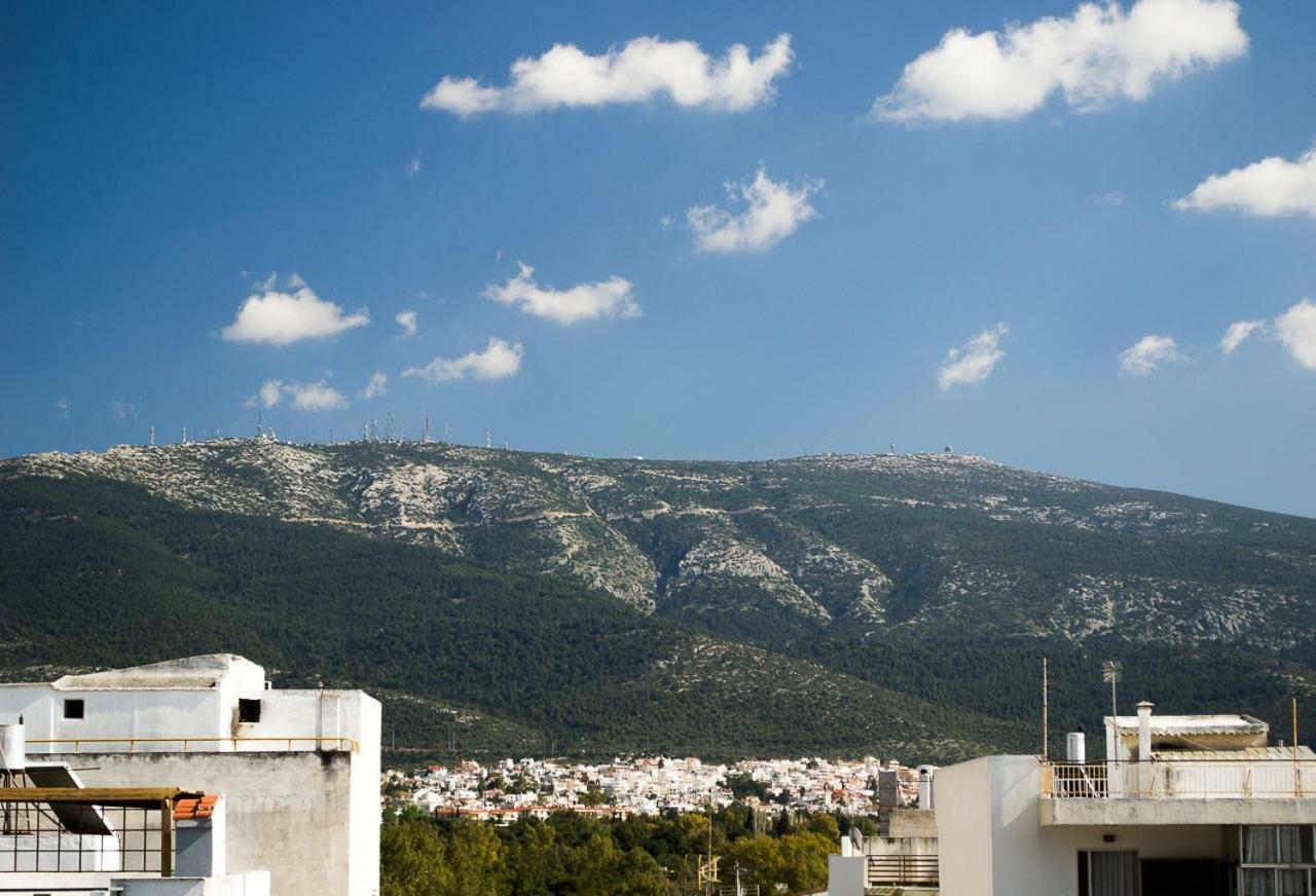 Inspiration Guestroom With Amazing Roof Garden Αθήνα Εξωτερικό φωτογραφία